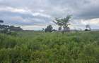 4 ac Land at Near Limblocks Factory - 5