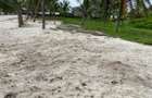 3.5 ac Land in Watamu - 1