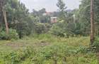 0.25 ac Land in Ruaka - 1