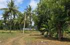 6 ac Land at Bomani - 8