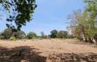 75 ac Land at Vipingo - 5