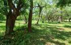 2.5 ac Land at Serena - 10