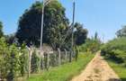 5 ac Land at Mtepeni - 17