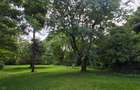 5 Bed House with En Suite at Kitisuru Road - 6