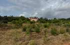 Land in Kilifi - 5
