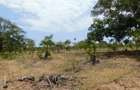 10,000 ft² Land in Vipingo - 12