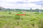0.05 ha Residential Land in Naivasha - 4