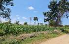 8 ac Land at Mtwapa - 8