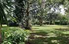 0.5 ac Land at Runda Ridge - 9