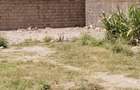 0.25 ac Land at Quarry Road - 3