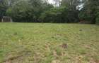 0.5 ac Residential Land in Karen - 1