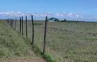 Land in Nanyuki - 17