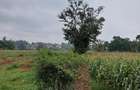 Residential Land at Kitisuru Ridge 44 - 11