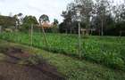 500 m² Residential Land in Ongata Rongai - 3