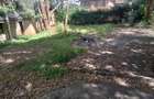 Commercial Land in Upper Hill - 5