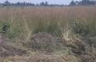 Residential Land at Riverside - 1