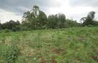 7.5 ac Land at Kikuyu Town - 8