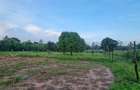 7 ac Land at Mtwapa - 11