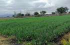 50 ac Land at Namanga Road - 6