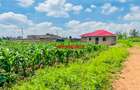 0.05 ha Residential Land at Kamangu - 4