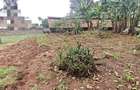 0.5 ac Land in Thome - 4