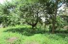 Land at East Church Rd - 7