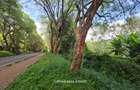 2.3 ac Land in Kitisuru - 7