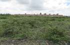 5 ac Land at Kiungani Rd - 2