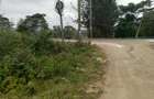 Land in Ngong - 3