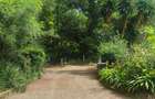 Residential Land at Ndege Road - 9