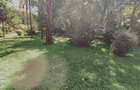 1.2 ac Land at Mageta Road - 2