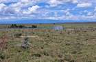 0.405 ha Land in Nanyuki - 3