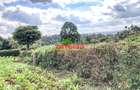 0.1 ha Residential Land at Gikambura - 9