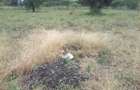 0.125 ac Residential Land in Ongata Rongai - 5