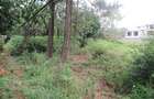 Land at Bogani Rd - 8