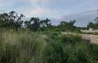 Land in Diani - 18