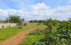 20 ac Land at Muthaiga North Road - 1