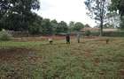 Land in Runda - 5