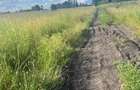 Land at Sunshine - 2