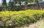 Residential Land in Nyali Area - 7