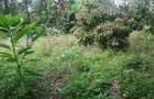 0.25 ac Land at Ngong - 3