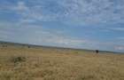 100 ac Land at Athiriver - Epz - 6