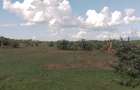 2 ac Land at Juja Farm - Near The Shopping Center - 3