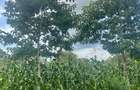 2 ac Land at Karingani - 9