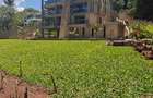 6 Bed House with En Suite in Nyari - 1