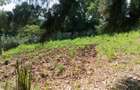 0.125 ac Land in Ngong - 1