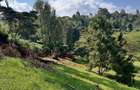 0.25 ac Residential Land at Ngong Town - 3
