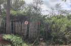 Land at Langata South Road - 2