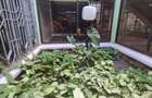 5 Bed House with Staff Quarters in Muthaiga - 3