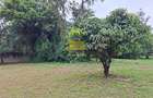 0.5 ac Land in Karen - 3